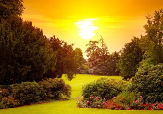 Summer,Park,With,Beautiful,Flowerbeds,And,Sunrise.
